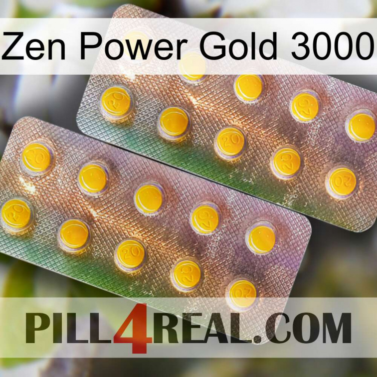 Zen Power Gold 3000 new10